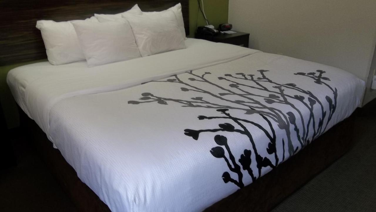 Sleep Inn Bryson City - Cherokee Area מראה חיצוני תמונה